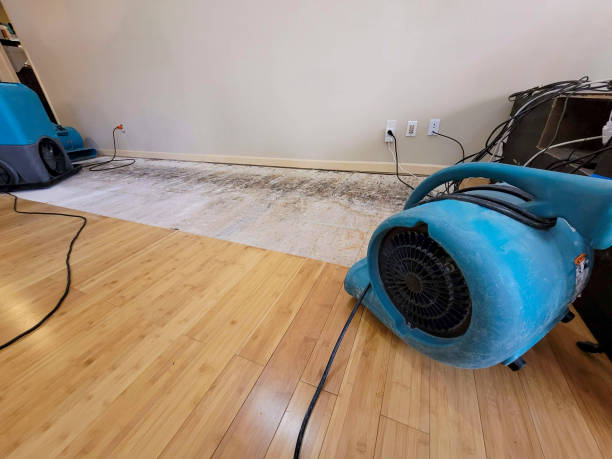 Reliable Basement Flood Cleanup contractor in Copeland, OK by Hirex Water Damage
